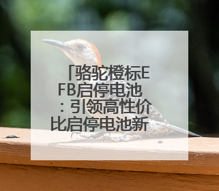 骆驼橙标EFB启停电池：引领高性价比启停电池新选择