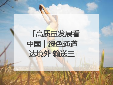 高质量发展看中国｜绿色通道达境外 输送三江“一口鲜”