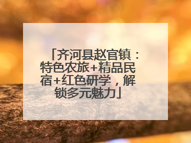 齐河县赵官镇：特色农旅+精品民宿+红色研学，解锁多元魅力