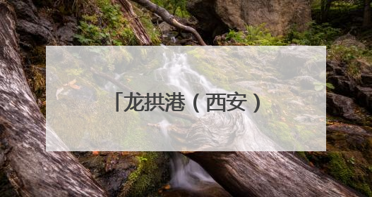 龙拱港（西安）多式联运 “一单制、一箱制” 推介会成功举办