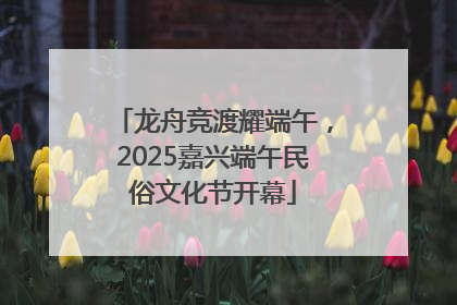 龙舟竞渡耀端午，2025嘉兴端午民俗文化节开幕