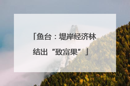 鱼台：堤岸经济林结出“致富果”