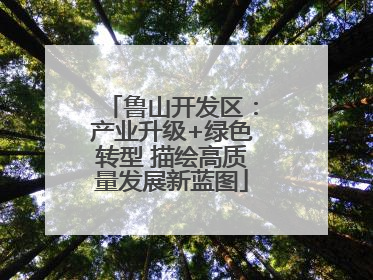 鲁山开发区：产业升级+绿色转型 描绘高质量发展新蓝图