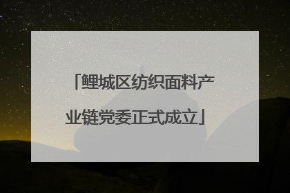 鲤城区纺织面料产业链党委正式成立