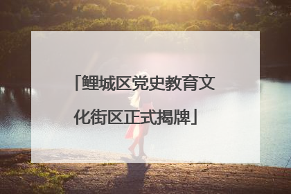鲤城区党史教育文化街区正式揭牌