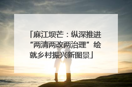 麻江坝芒：纵深推进“两清两改两治理”绘就乡村振兴新图景