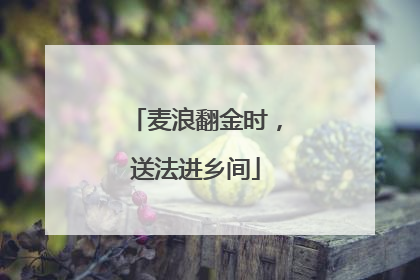 麦浪翻金时，送法进乡间