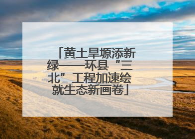 黄土旱塬添新绿——环县“三北”工程加速绘就生态新画卷