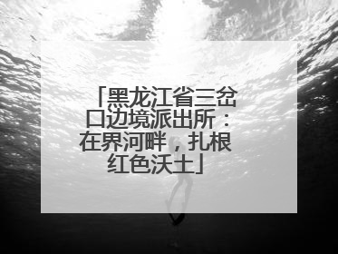 黑龙江省三岔口边境派出所：在界河畔，扎根红色沃土