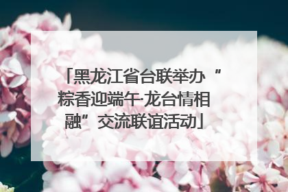 黑龙江省台联举办“粽香迎端午·龙台情相融”交流联谊活动
