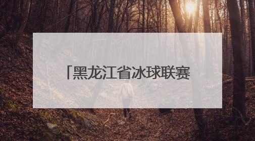 黑龙江省冰球联赛第二站收官 齐齐哈尔兰迪一队夺冠