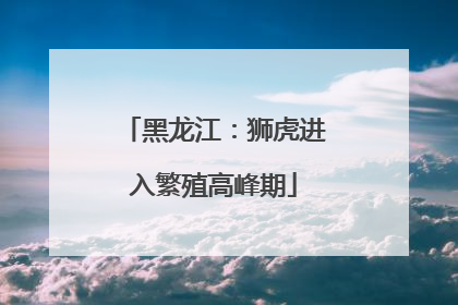 黑龙江：狮虎进入繁殖高峰期