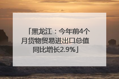 黑龙江：今年前4个月货物贸易进出口总值同比增长2.9%