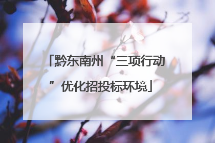 黔东南州“三项行动”优化招投标环境