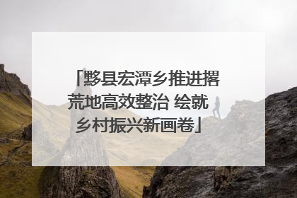 黟县宏潭乡推进撂荒地高效整治 绘就乡村振兴新画卷