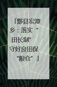 黟县宏潭乡：落实“田长制” 守好良田保“粮仓”