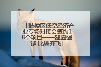 鼓楼区低空经济产业专场对接会签约18个项目——建圈强链 比翼齐飞