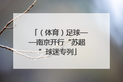 （体育）足球——南京开行“苏超”球迷专列