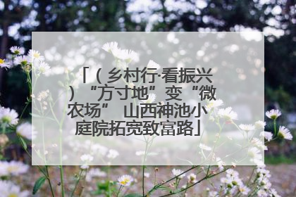 （乡村行·看振兴）“方寸地”变“微农场” 山西神池小庭院拓宽致富路