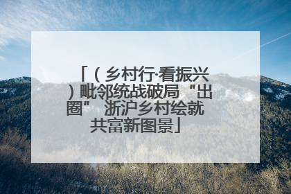 （乡村行·看振兴）毗邻统战破局“出圈” 浙沪乡村绘就共富新图景
