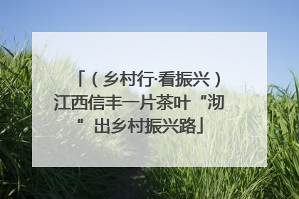 （乡村行·看振兴）江西信丰一片茶叶“沏”出乡村振兴路