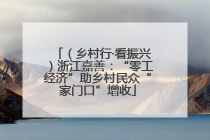 （乡村行·看振兴）浙江嘉善：“零工经济”助乡村民众“家门口”增收