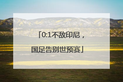 0:1不敌印尼，国足告别世预赛
