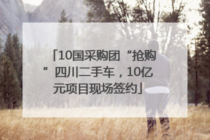 10国采购团“抢购”四川二手车，10亿元项目现场签约