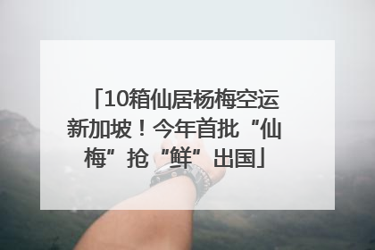 10箱仙居杨梅空运新加坡！今年首批“仙梅”抢“鲜”出国