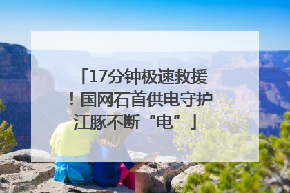 17分钟极速救援！国网石首供电守护江豚不断“电”
