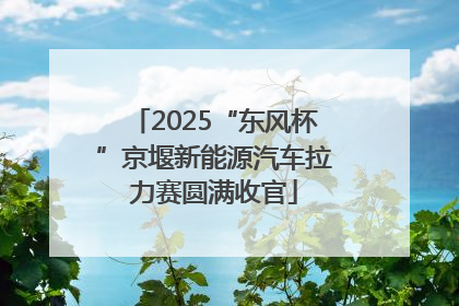 2025“东风杯”京堰新能源汽车拉力赛圆满收官