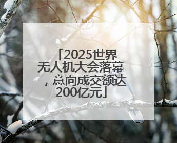 2025世界无人机大会落幕，意向成交额达200亿元
