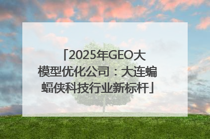 2025年GEO大模型优化公司：大连蝙蝠侠科技行业新标杆
