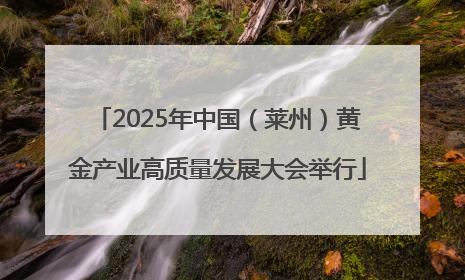 2025年中国（莱州）黄金产业高质量发展大会举行