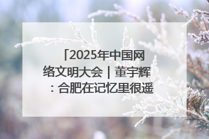2025年中国网络文明大会｜董宇辉：合肥在记忆里很遥远也很亲切