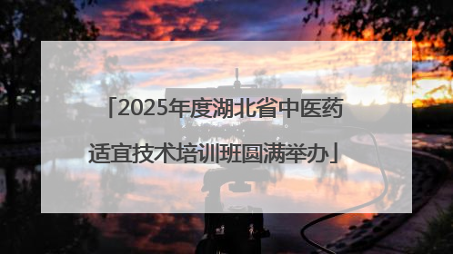 2025年度湖北省中医药适宜技术培训班圆满举办