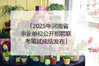2025年河南省事业单位公开招聘联考笔试成绩发布