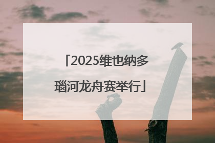 2025维也纳多瑙河龙舟赛举行