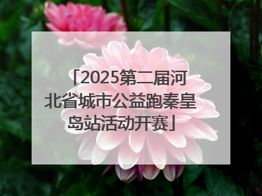 2025第二届河北省城市公益跑秦皇岛站活动开赛