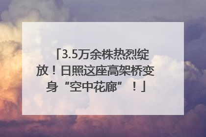 3.5万余株热烈绽放！日照这座高架桥变身“空中花廊”！