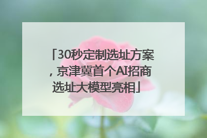 30秒定制选址方案，京津冀首个AI招商选址大模型亮相