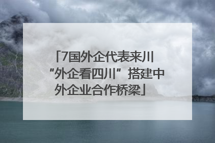 7国外企代表来川 “外企看四川”搭建中外企业合作桥梁