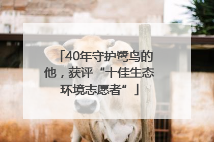 40年守护鹭鸟的他，获评“十佳生态环境志愿者”