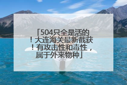 504只全是活的！大连海关最新截获！有攻击性和毒性，属于外来物种