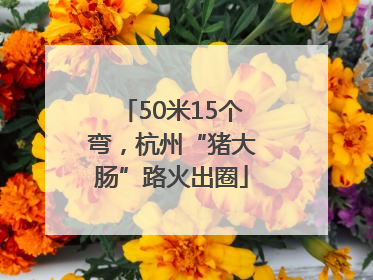 50米15个弯，杭州“猪大肠”路火出圈