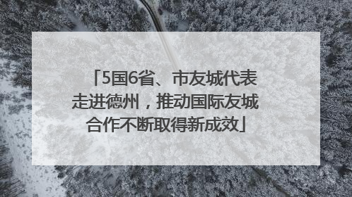 5国6省、市友城代表走进德州，推动国际友城合作不断取得新成效