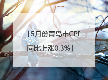 5月份青岛市CPI同比上涨0.3%