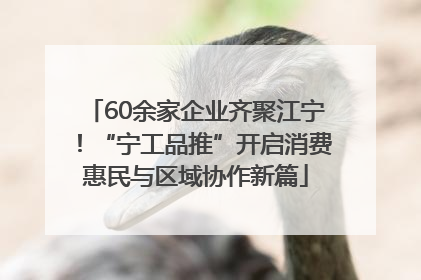60余家企业齐聚江宁！“宁工品推”开启消费惠民与区域协作新篇