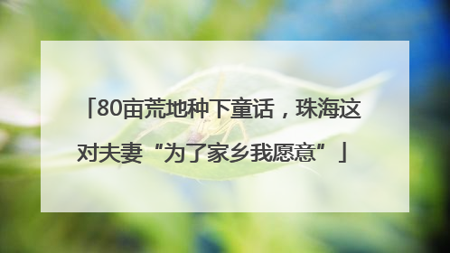 80亩荒地种下童话,珠海这对夫妻“为了家乡我愿意”