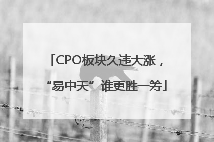CPO板块久违大涨，“易中天”谁更胜一筹